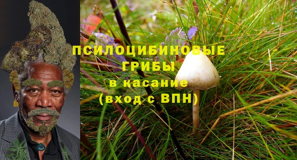 мдма Белокуриха