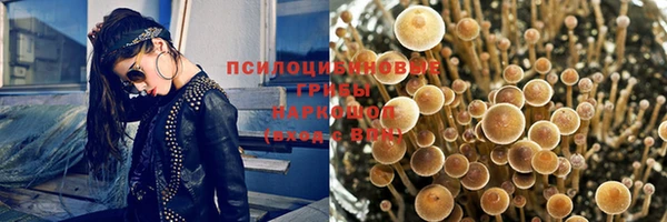 мдма Белокуриха