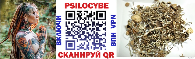 площадка Telegram  Велиж  Галлюциногенные грибы прущие грибы 
